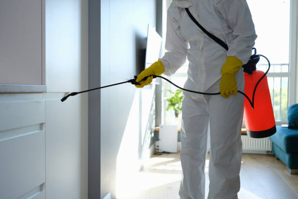 Best Residential Mold Removal  in Webb City, MO