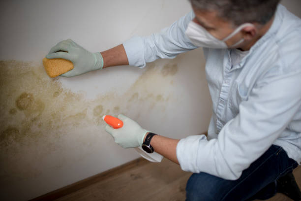 Water Damage Restoration in Webb City, MO