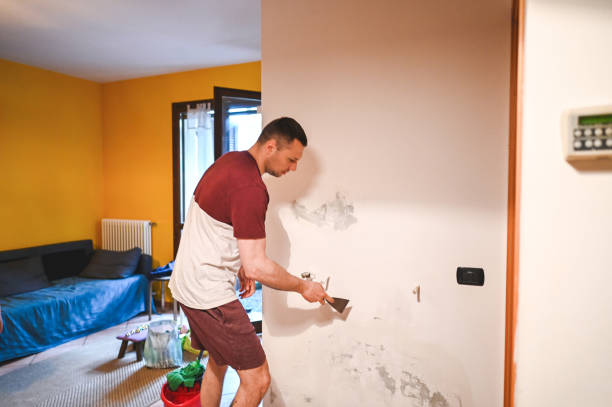 Best Affordable Mold Removal  in Webb City, MO